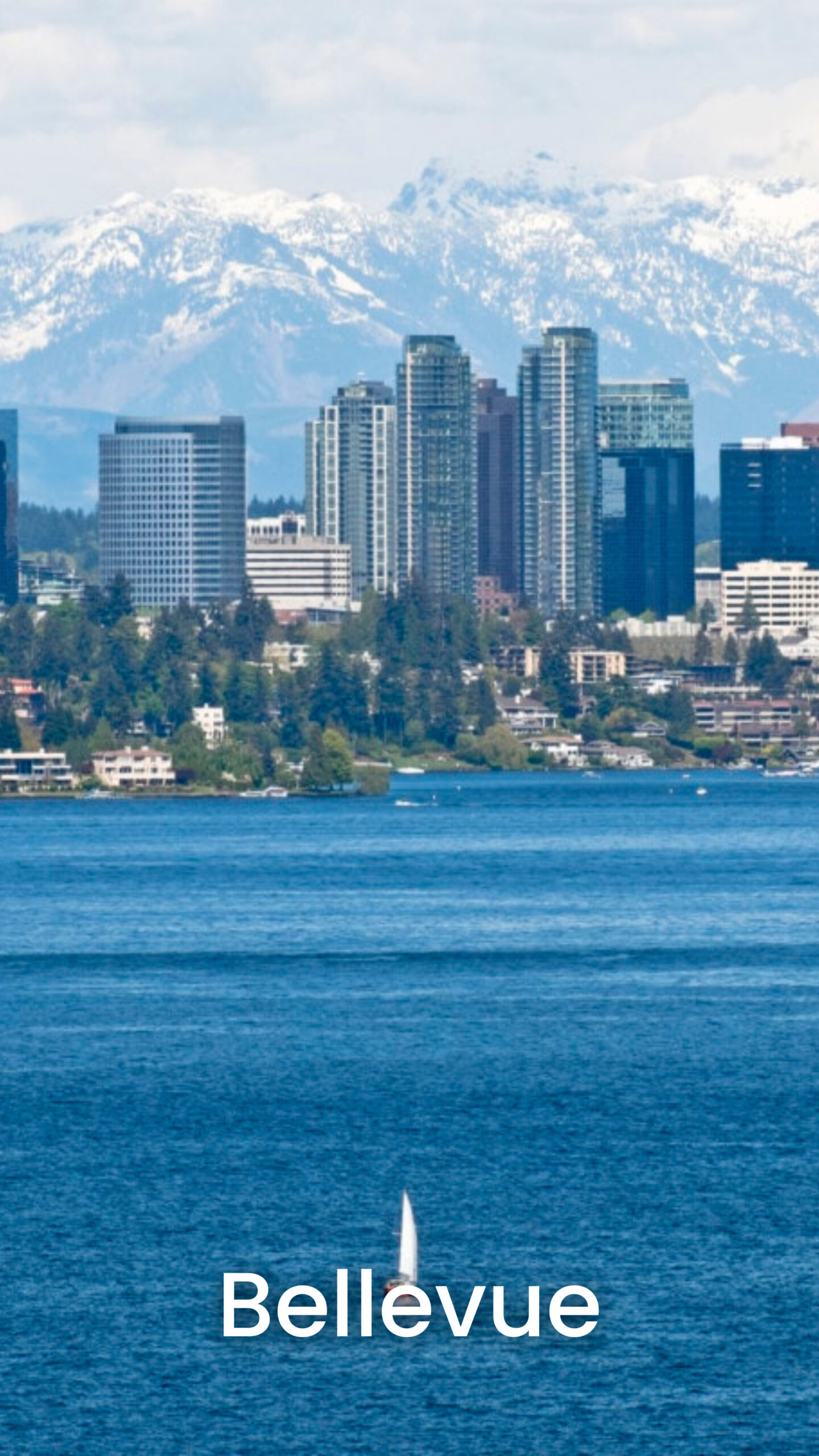 Commercial cleaning services in Bellevue WA serving offices, clinics, and professional spaces